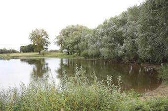 Ferienhof Klaucke - Freizeit