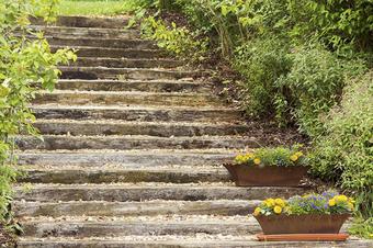 ausZEIT Ihr Sibyllenbad-Gästehaus - Garten