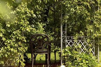 ausZEIT Ihr Sibyllenbad-Gästehaus - Garten