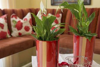 ausZEIT Ihr Sibyllenbad-Gästehaus - Zimmer