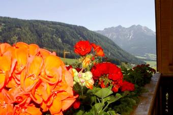 Ferienwohnungen Bauernhof Lexmairhof - Balkon