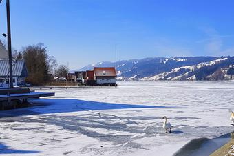 Ferienwohnungen am Schlossberg - Umgebung