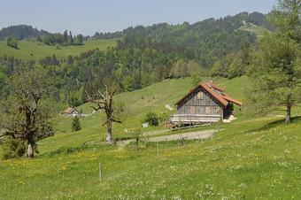 Ferienwohnungen am Schlossberg - Umgebung