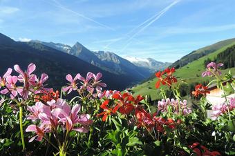 Bauernhof Himmenhof Privatpension - Umgebung