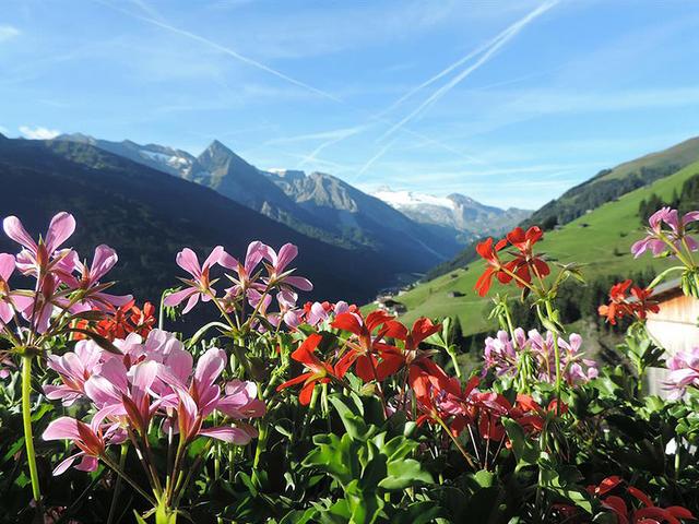 Bauernhof Himmenhof Privatpension - Umgebung